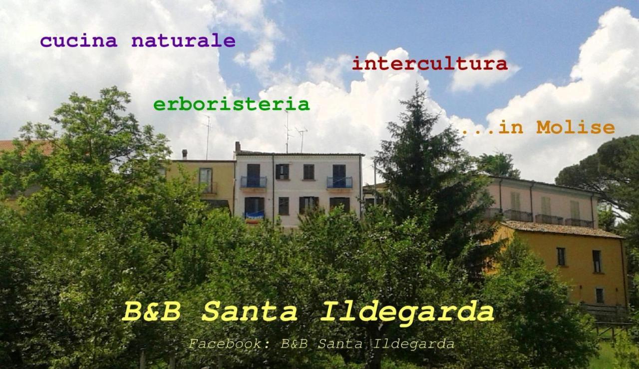 B&B Santa Ildegarda Cantalupo nel Sannio Camera foto